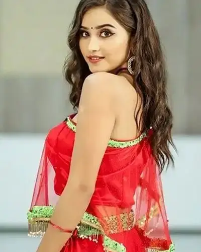 Call Girls Service Nasrullaganj